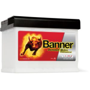 Power Bull PROfessional